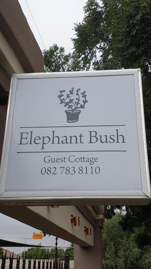 Elephant Bush Guest Cottage Alberton Ngoại thất bức ảnh